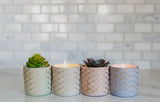 Garden Terrace Concrete Candles