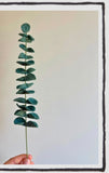Felt Greenery