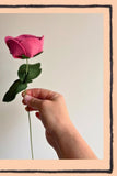 Felt Roses