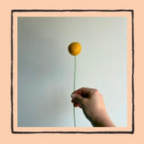 Felt Billy Balls