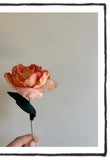 Felt Roses