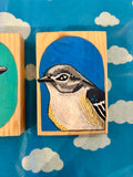 Mini Bird Block Illustrations