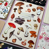 Mushrooms Notebook