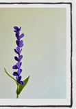 Felt Lavender Stem
