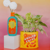 Potato Chips Vase