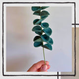 Felt Greenery