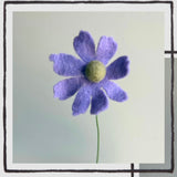 Felt Wildflowers