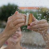 Olive Wood Nail Brush