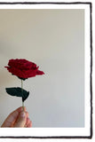 Felt Roses