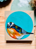 Dear Darlington Original Illustration: White-Browed Scrub Jay