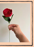 Felt Roses