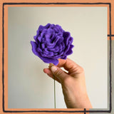 Felt Carnation-Concord