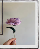 Felt Roses