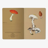Mushrooms Notebook