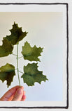 Felt Greenery