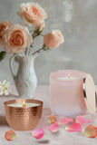 Elements Glass Candles with Brass Lids