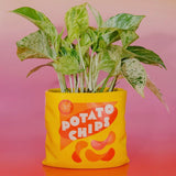 Potato Chips Vase