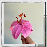 Felt Lily
