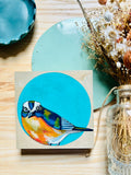 Dear Darlington Original Illustration: White-Browed Scrub Jay