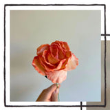 Felt Roses