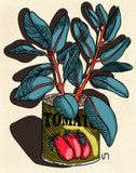 Tomato Can Print