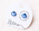 Cute Blueberry Summer Fruit Stud Earrings