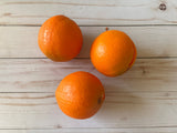 Orange Fruit Coin Purse