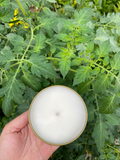 Tomato Leaf Soy Wax Candle
