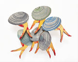 Pet Clam