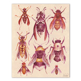 Pollinators Print