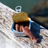 Milk Chocolate Sardines
