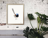 Fairy Wren Print - woodland bird illustration