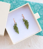Spotted Begonia Leaf Houseplant Earrings on Rose Gold Hoops