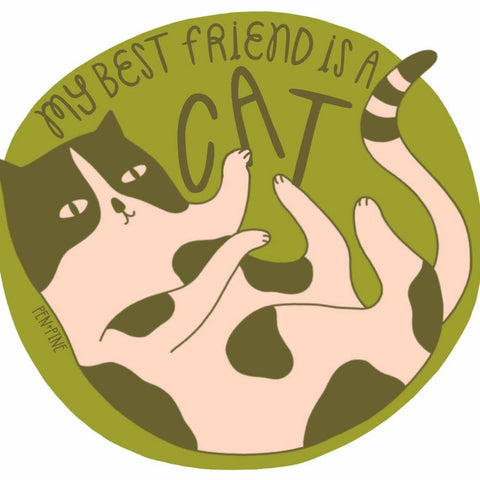 My Best Friend is a Cat Vinyl Sticker