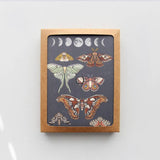 Moonlit Moths Box Set of Greeting Cards