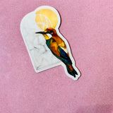 Dear Darlington Watercolor Hummingbird Vinyl Sticker