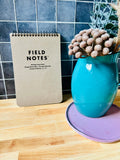 Field Notes Steno Book