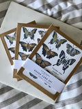 “Thank You Kindly” Butterfly Box Set of Greeting Cards