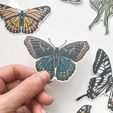 Red Spotted Purple Butterfly Sticker