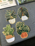 Begonia Sticker